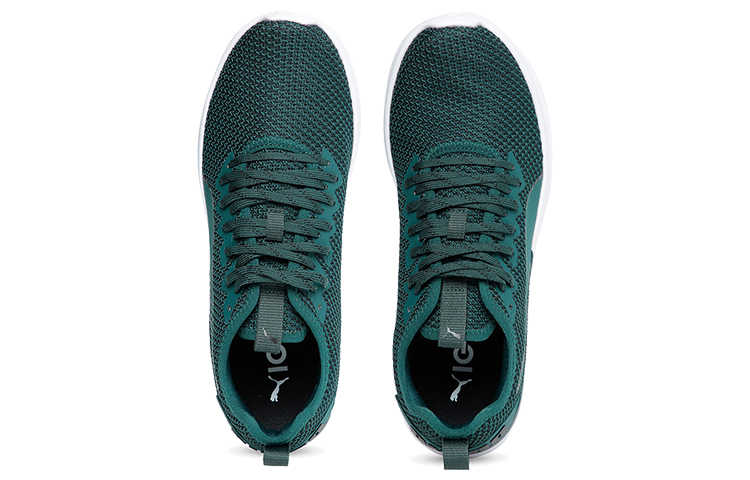 Purchase 푸마 이그나이트 플래시 FS '폰데로사 파인' (Puma Ignite Flash FS 'Ponderosa Pine') 192496-02