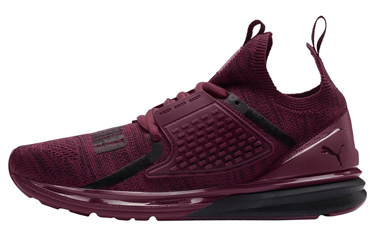 Puma Ignite Limitless 2 'Purple' 191597-02