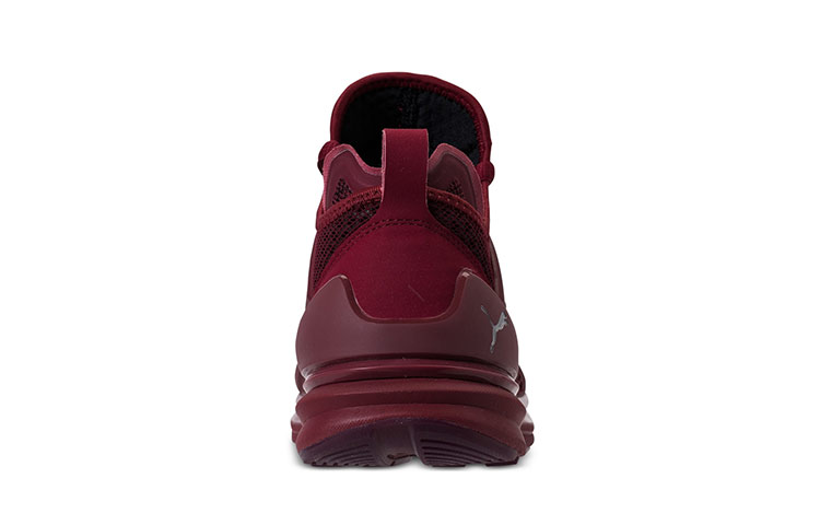 Shop "Puma Ignite Limitless 'Rojo Oscuro'" 189987-04