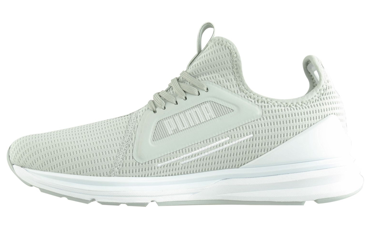 Puma Ignite Limitless 'Lean Grey Low-Top' 192548-03