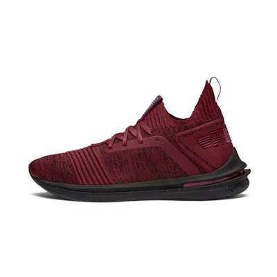 Puma Ignite Limitless Sr Evoknit Low Top Running Shoes Red