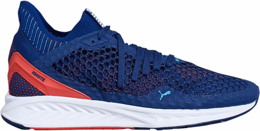 Puma ignite netfit sales blue