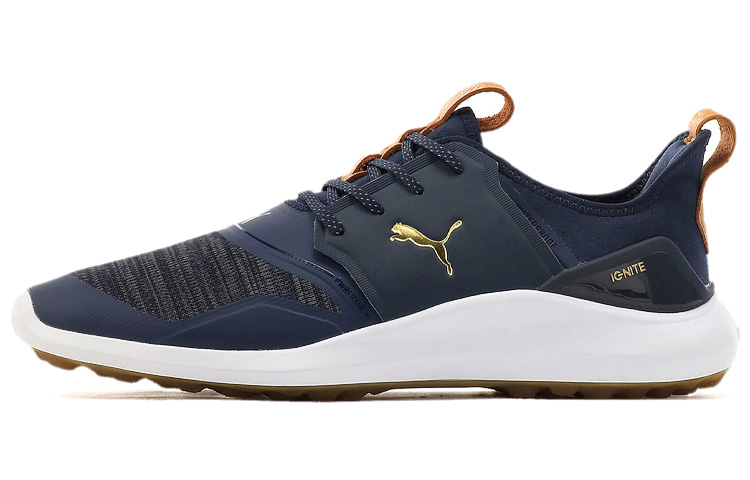 Puma Ignite NXT 'Blue' 192225-04