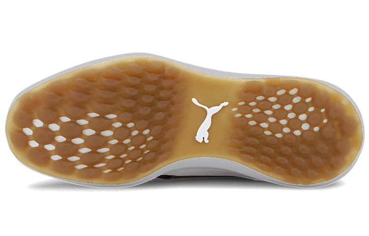 Purchase Puma Ignite NXT Crafted Golfschoen Blauw 192437-03