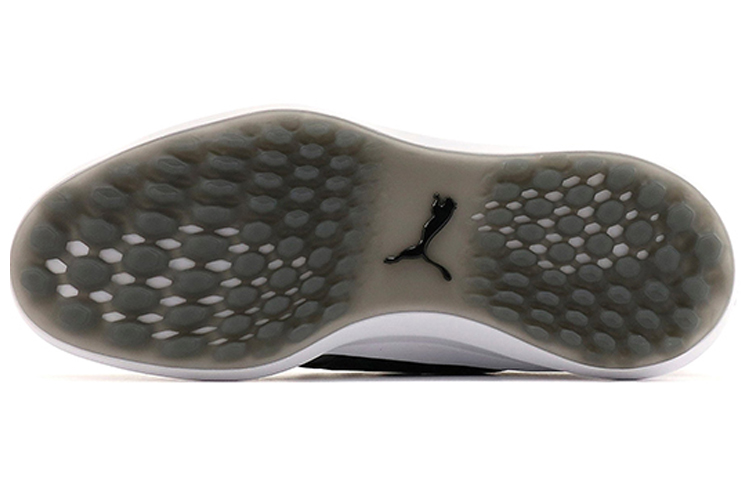 Purchase Puma Ignite NXT Disc Golf Schuhe Schwarz/Grau 192245-02