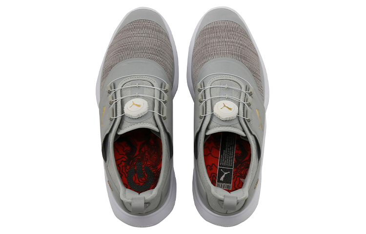 Lookbook Puma Ignite NXT Disc Golf Schuhe Grau 192245-03