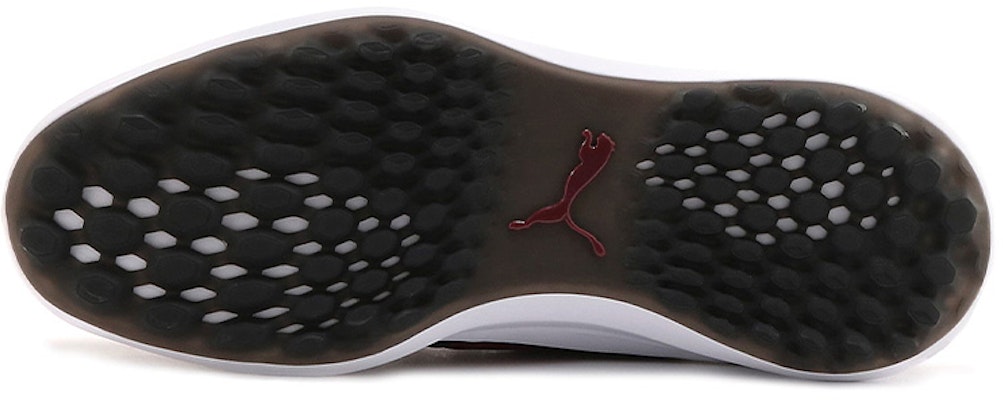 Puma Ignite Nxt Disc 玫紅 Purchase Puma Ignite Nxt Disc 玫紅