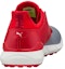 Purchase Puma Ignite Spikeless Sport Disc 'Merah' 189928-02