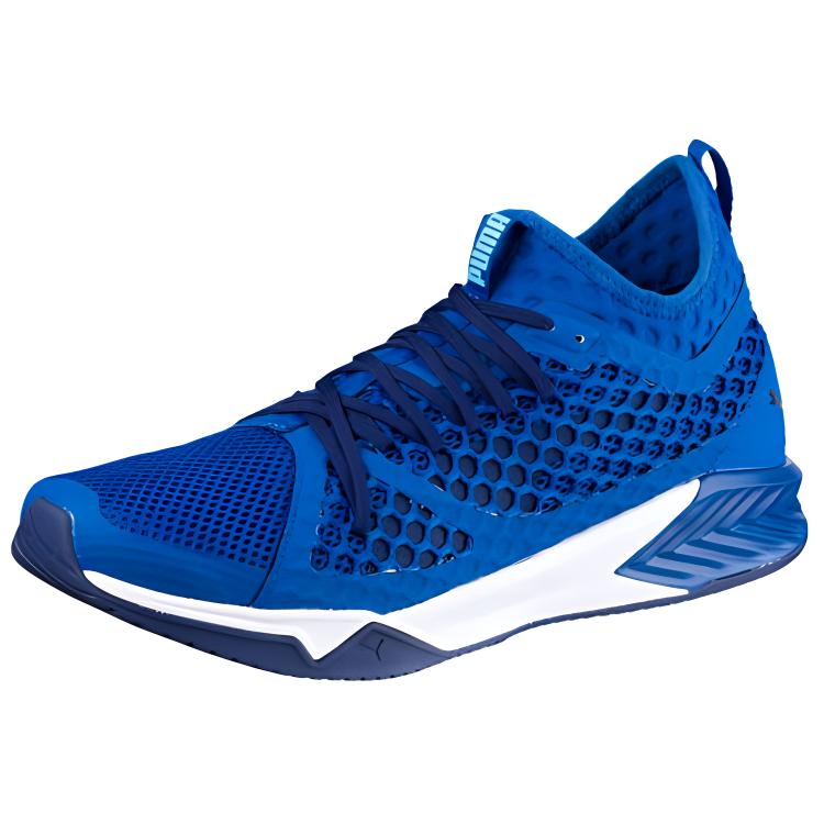 Puma Ignite XT Netfit 'Simple Blue' 190057-02