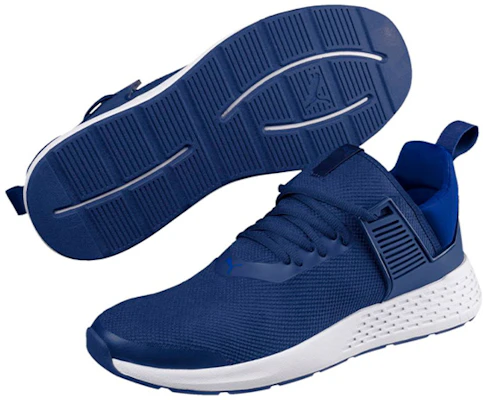 Puma Insurge Mesh Blau 367385-03 Purchase Puma Insurge Mesh Blau 367385-03