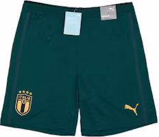 Puma Italy Player Edition Green Soccer Pants 2019-2021 756438-03 Puma Italy Player Edition Green Soccer Pants 2019-2021 756438-03