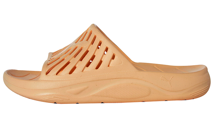 Buy 푸마 젯캣 '아웃도어 브라운' (Puma Jetcat 'Outdoor Brown') 382328-06