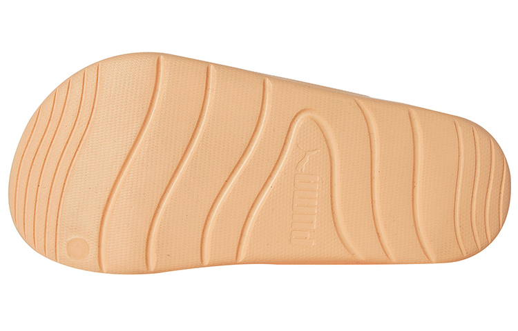 Purchase 푸마 젯캣 '아웃도어 브라운' (Puma Jetcat 'Outdoor Brown') 382328-06