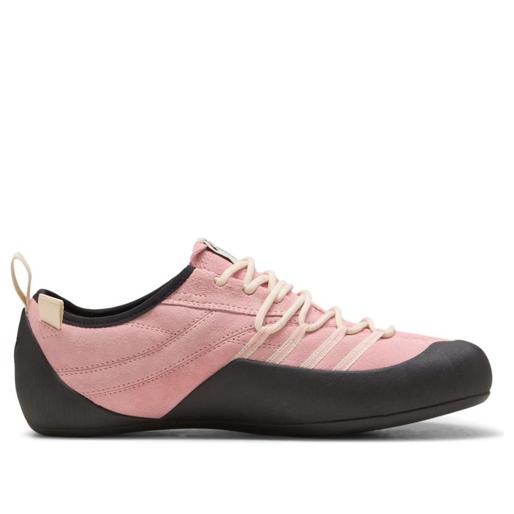 Details for Puma Klim ''Rosy Outlook Schwarz'' 405309-05