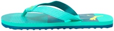 Buy Puma Leadcat 'Hijau Aliran' 368273-05