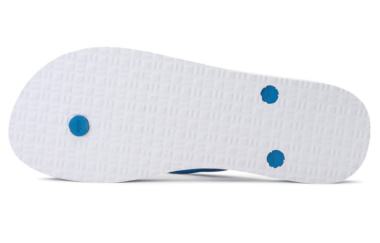 Shop Selipar Puma Leadcat V1 'Biru' 380351-02