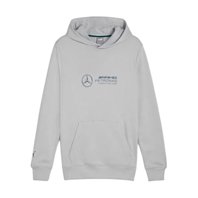 Puma Letter Graphic Hoodie Training Sweatshirt Grey 623749-02