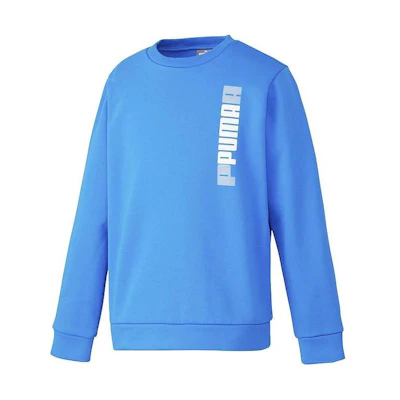 Puma Letter Print Crewneck Sweatshirt Dodger Blue Long Sleeve 677738-47