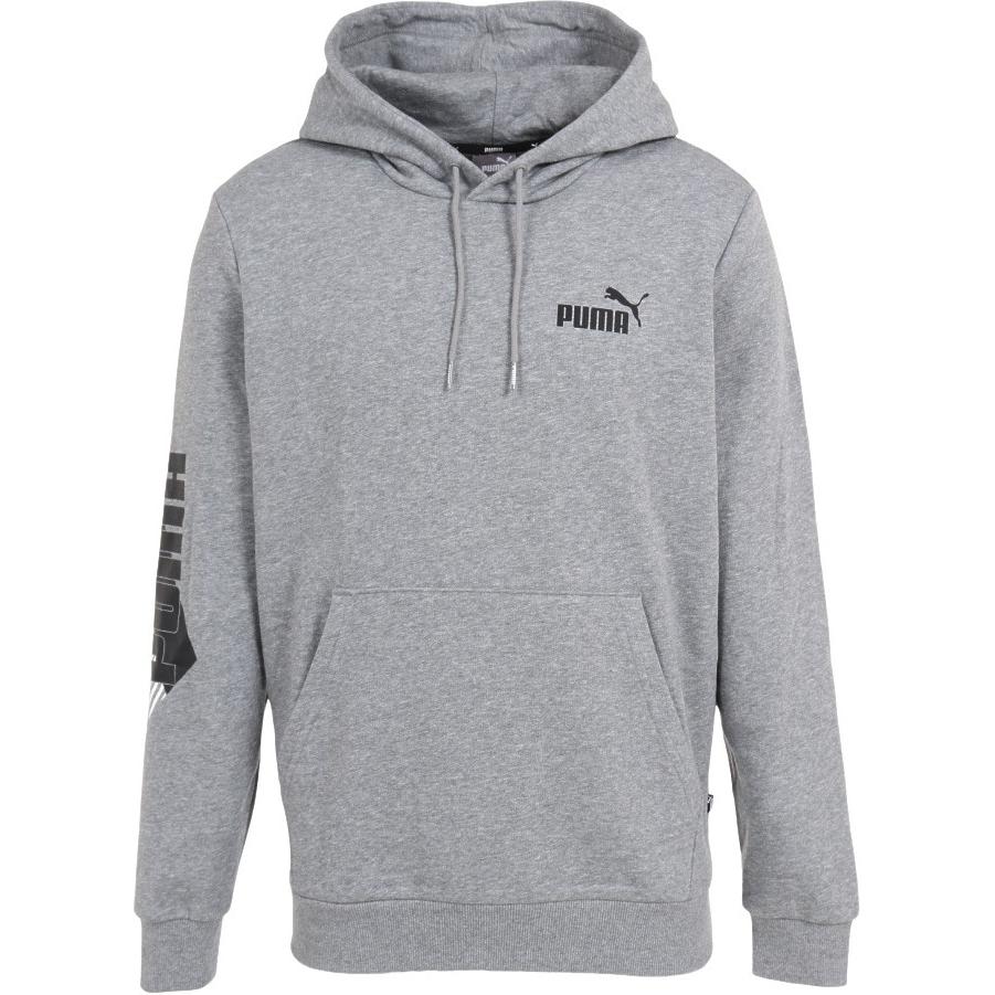 Puma Logo Graphic Hoodie Unisex Pullover Long Sleeve Sweatshirt Gray 672507-03