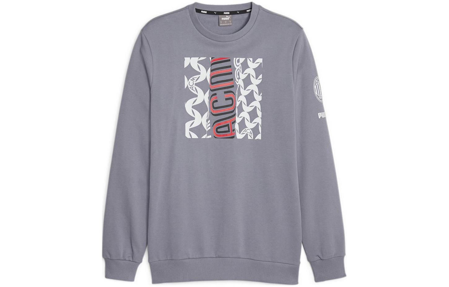 Puma Loose Fit Crewneck Long Sleeve Sweatshirt Grey 772315-10