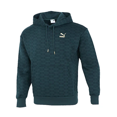 Puma Luxe AOP Hoodie Green - Full Logo Print Knit Pullover Hoodie 534409-80