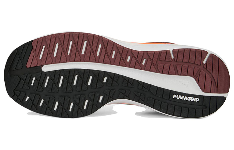 Purchase Puma Magnify Nitro Surge 'Hitam Ultra Oren' 376905-07