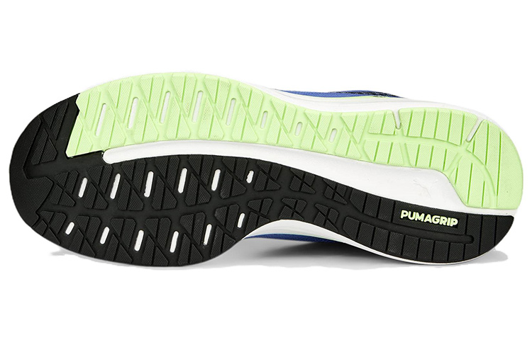 Purchase Puma Magnify Nitro Surge 'Royal Sapphire' Sepatu Lari Pria 376905-08