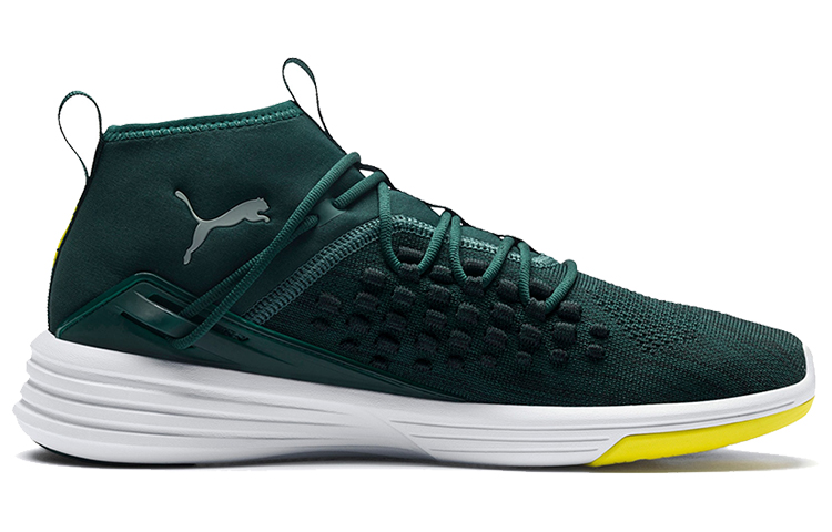 Order Puma Mantra 'Pino Ponderosa' 192487-02