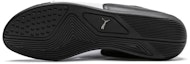 Purchase Puma Mercedes AMG Petronas Motorsport Drift Cat 7 'Black White' 306150-04