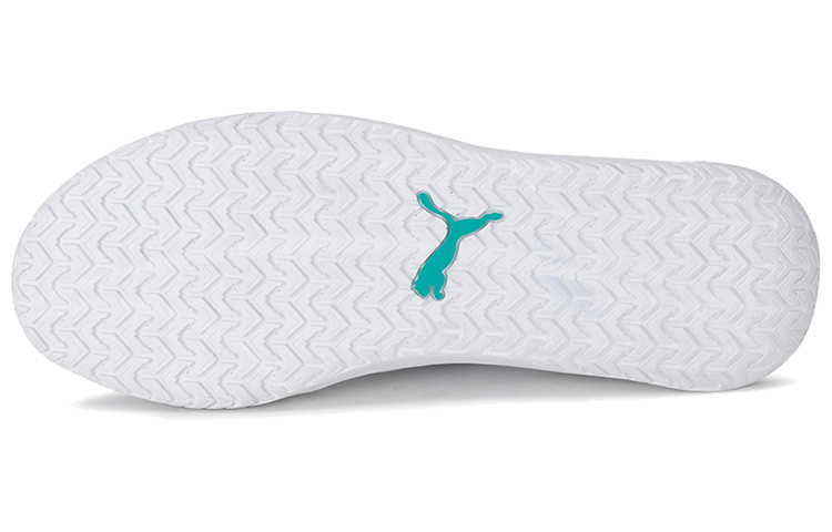 Details for Puma Mercedes DC Future ''Nero Bianco Grigio'' 306621-02