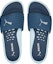 Shop Puma Nitrocat V 'Biru' 384263-05