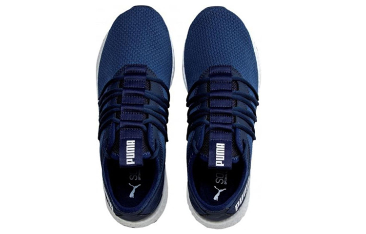 Lookbook 푸마 널지 스타 '블루 화이트' (Puma Nulji Star 'Blue White') 192568-04