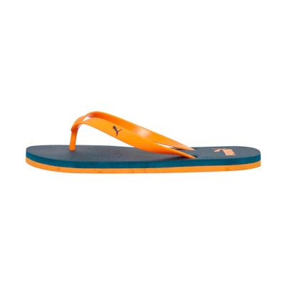 Puma Odius V2 IDP 'Iron Gate Lake Blue Orange' Slides