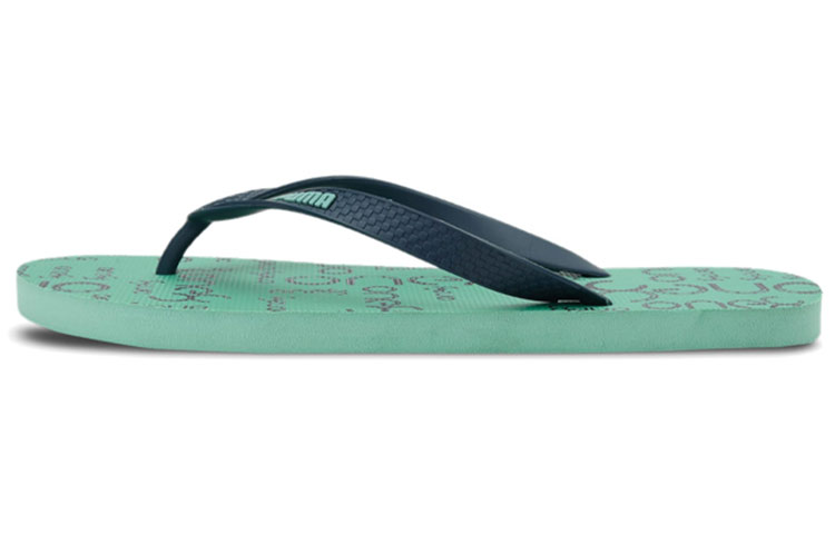 Puma One8 Virat Kohli FF IV IDP 'Green Blue' 383948-02