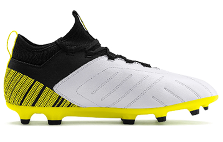 Order Puma One 5.3 FG Schwarz Fußballschuhe 105604-03