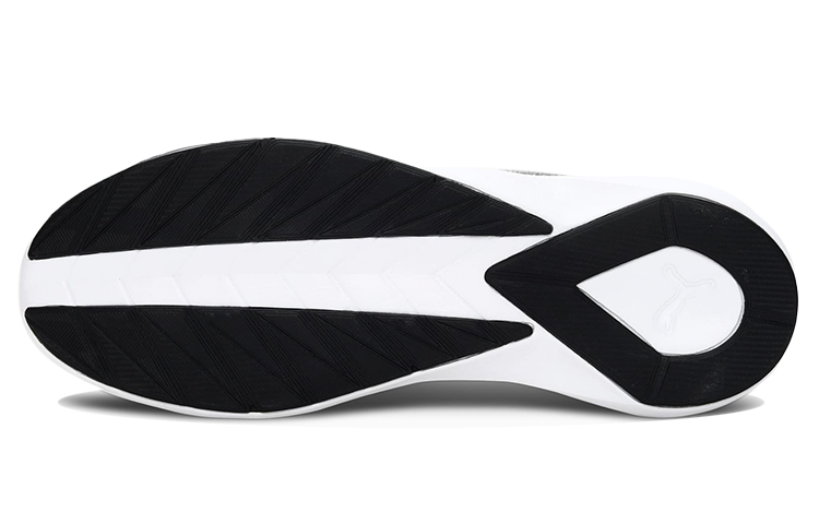 Purchase Puma Pacer Evo 2.2 'Kelabu' 385105-01