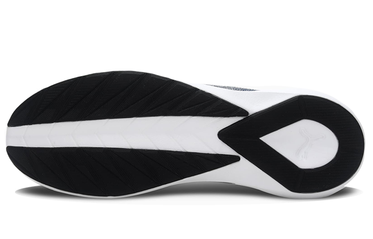 Purchase Puma Pacer Evo 2.2 ''Grijs Blauw'' 385105-03