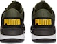 Purchase Puma Pacer Future 'Hijau Lumut Oren Bersinar' 380367-25