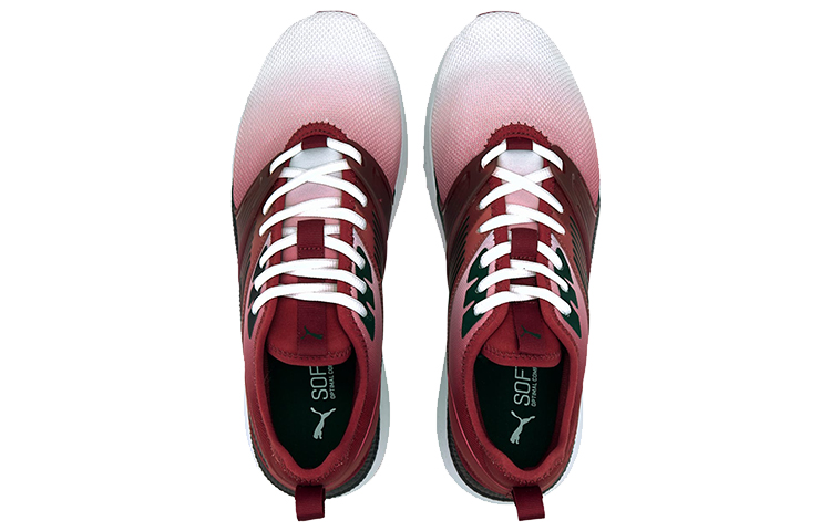 Lookbook Puma Pacer Next FFWD ''Gradient Pack - Rosso Dahlia Nero'' 374125-02