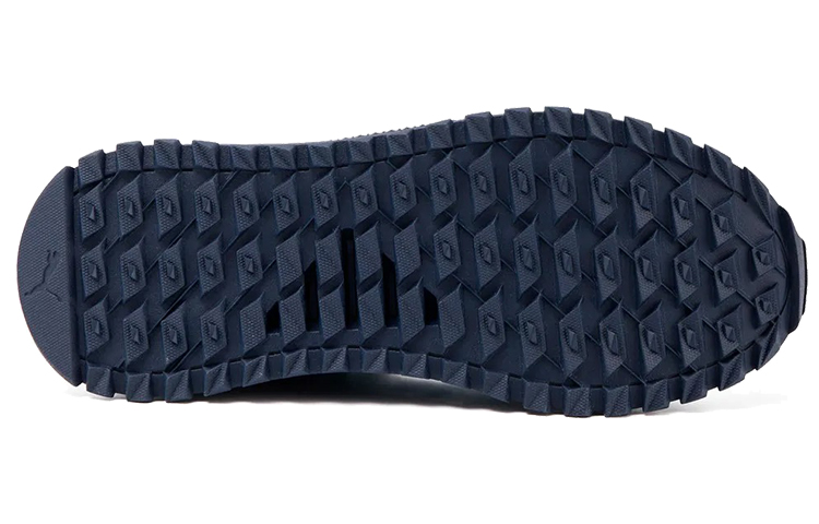 Details for Puma Pacer Next Sb Wtr ''Paars Blauw'' 366936-10
