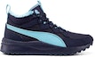 Order Puma Pacer Next SB WTR 'Ungu Biru' 366936-10