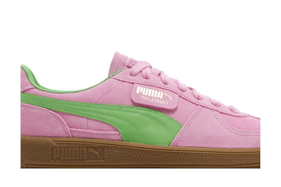 Puma Palermo Special 'Pink Delight Green'
