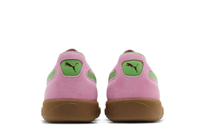 Puma Palermo Special 'Pink Delight Green'