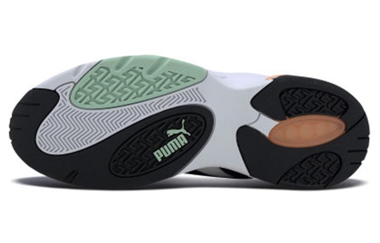 Purchase Puma Performer Clay White/Green 371911-02