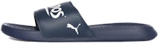 Buy Puma Popcat 'Monterrey Biru' 372960-01