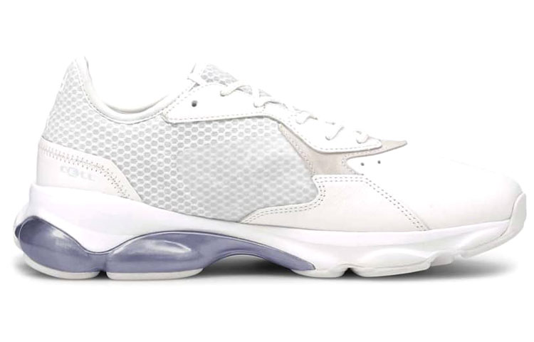 Order Puma Porsche Design Rct Cell Tex 'White' 306687-02