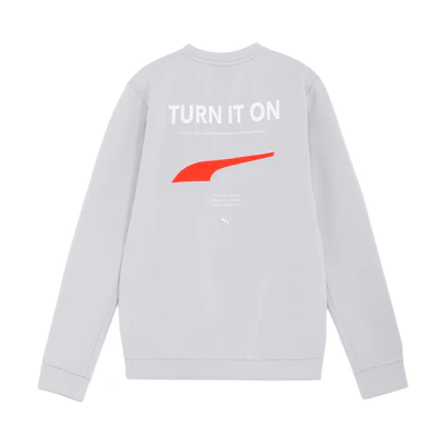 Puma Printed Crewneck Casual Pullover Sweatshirt Men’s Grey 624909-03