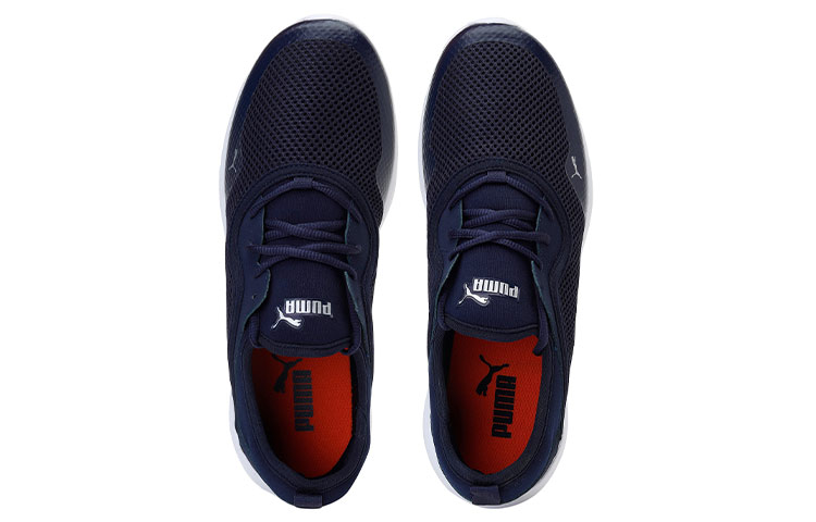 Shop Puma Pronto V2 Idp 藍白 跑步鞋