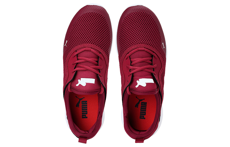 Lookbook Puma Pronto V2 Idp 紅白 低筒跑步鞋