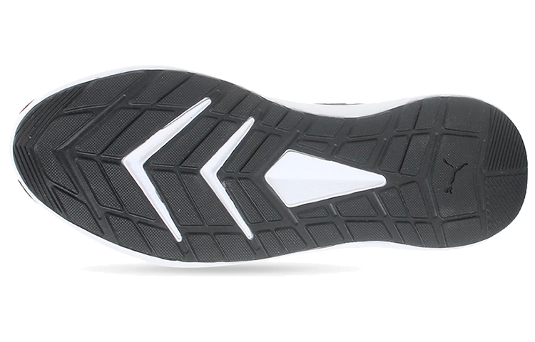 Details for Puma Propel EL Idp Grau/Weiß 368483-03